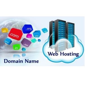 domain name and web hosting